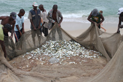 local fisherman